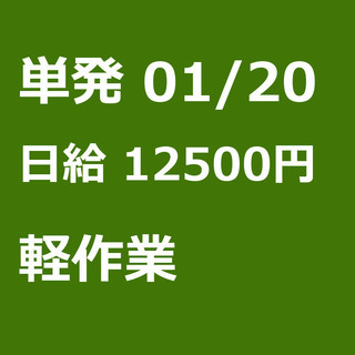 【急募】 01月20日/単発/日払い/北区:【急募】男女可/1月...