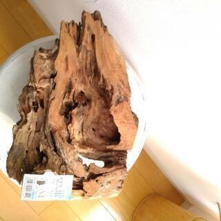 流木　ソネケミファ　ブランド　スタンプウッド　M　未使用品