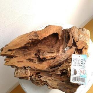 流木　ソネケミファ　ブランド　スタンプウッド　M　未使用品の画像
