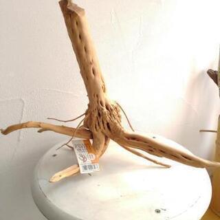 流木　ソネケミファ　パステルブランチ　4L　未使用