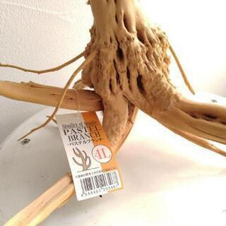 流木　ソネケミファ　パステルブランチ　4L　未使用の画像