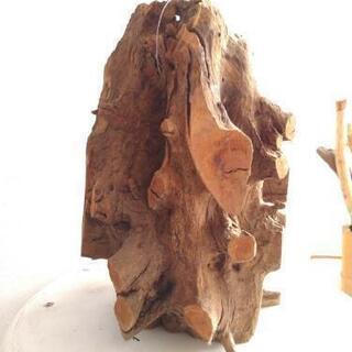 流木　ソネケミファ　スタンプウッド　Mの画像