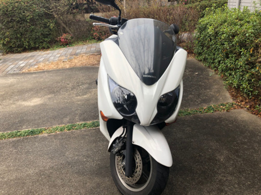 フォルツァ  MF10 好調