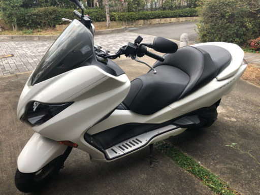 フォルツァ  MF10 好調