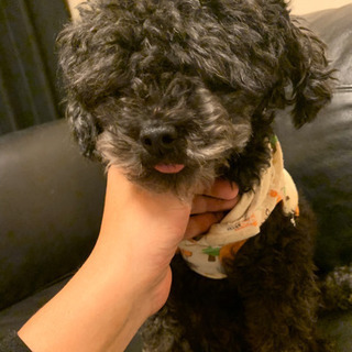仲良くしてください😚