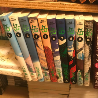 【漫画】岳（石塚真一）1〜10巻の画像