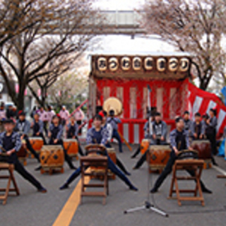 みつわ台桜まつりの画像