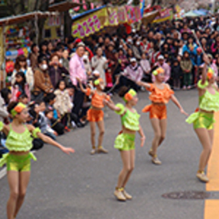 みつわ台桜まつり - 千葉市