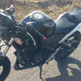 CBR250R MC41 ストリートカスタムの画像