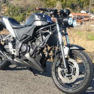 CBR250R MC41 ストリートカスタム