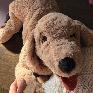  【決まりました！⠀】犬のぬいぐるみ！