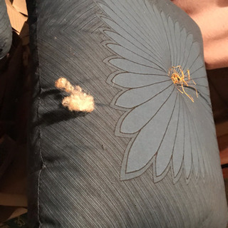 座布団10枚お譲りしますの画像