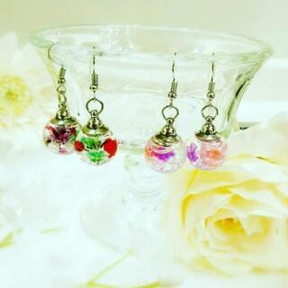 【通信レッスンも対応】おうち時間で資格取得♡の画像