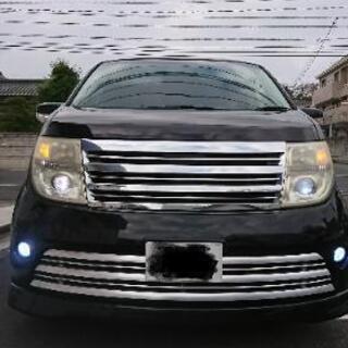 車検受けたてエルグランド