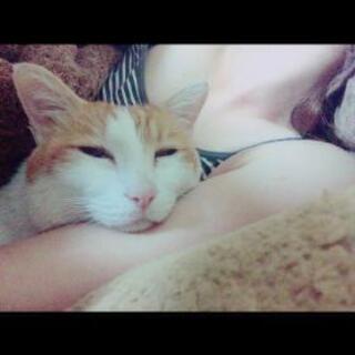 さらふわ9歳の男の子です🐈