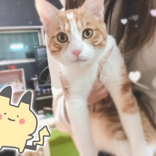 【５ヶ月】甘えたな男の子です🎵