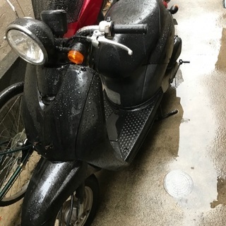 Today AF61 早い者勝ちですの画像