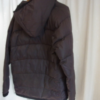 PenFieldダウングレーの画像