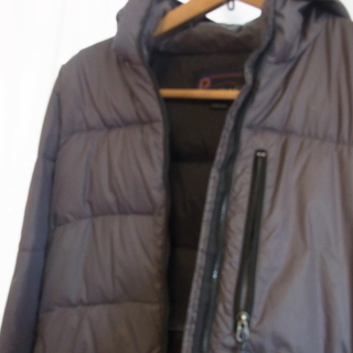 PenFieldダウングレーの画像