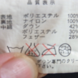 PenFieldダウングレーの画像