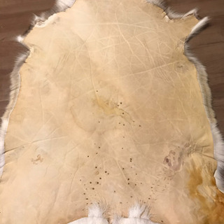 トナカイ フィンランド 北欧 ラグ 毛皮