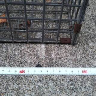 取りにこれる方で、捕獲器 箱罠 ハクビシン アニマルトラップ 駆除 退治 動物 撃退 忌避 踏み板式 被害 対策 イタチ タヌキ、大と中２個の画像