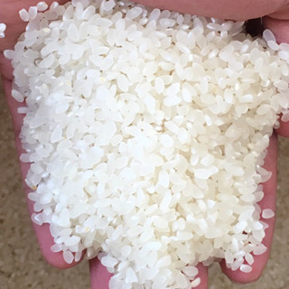 "限定10人"おじいちゃんのヒノヒカリ1kg &みかん同量サービス