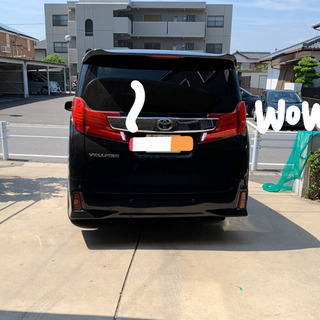 ダズフェローズ 30ヴェルファイア