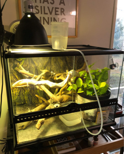 GEX ジェックス　グラステラリウム6045