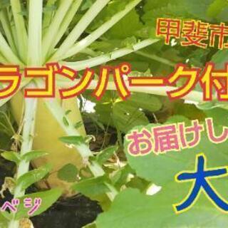 沢山のご注文ありがとうございました