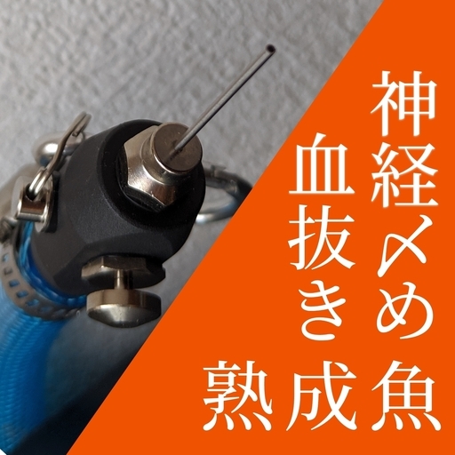 血抜き 神経締め熟成魚用セット