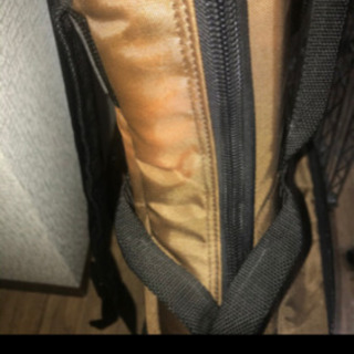 ビザールギター、セミハードケース、スタンドの画像