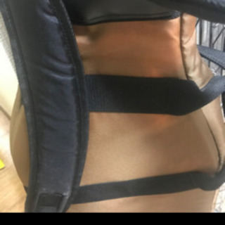 ビザールギター、セミハードケース、スタンドの画像