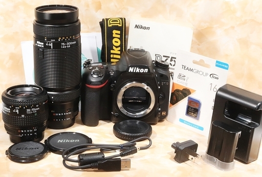 ★極上美品＆ショット数8579回極小＆16GBSD付★ニコン D750 ダブルズームセット