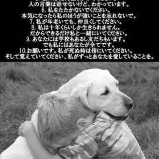 ボランティア仲間募集