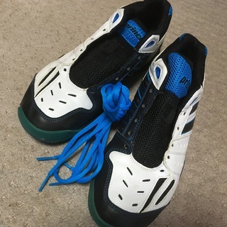 tennis shoes princeの画像