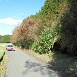 町道沿い平地　６９９㎡　地目：山林