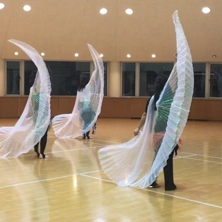 茨城県守谷市でベリーダンスレッスンの画像