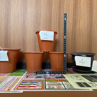 プランター・陶器，素焼き鉢植え(無料です)