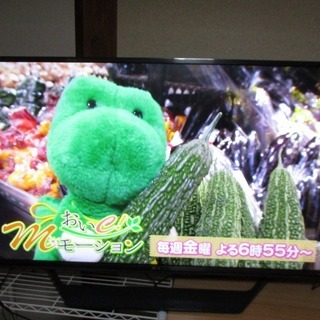 中古処分品  2015年式 4K液晶テレビ43インチ