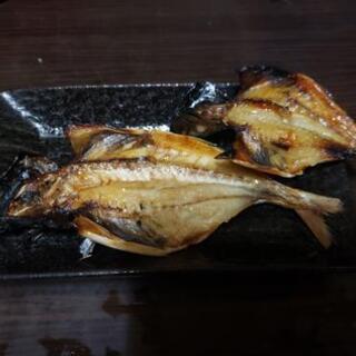 釣り仲間募集😁 - 友達