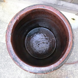 メダカ入れ 傘立て等に いかがでしょうか!の画像