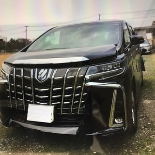 令和1年　アルファードHV