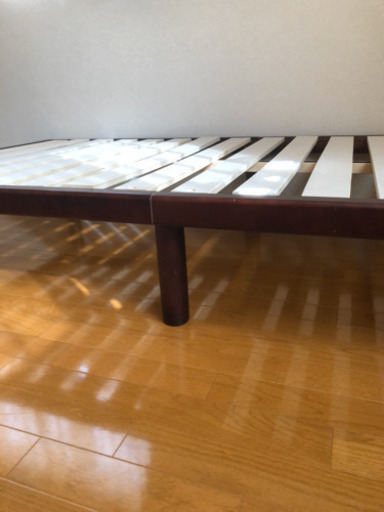 譲渡様決まりました。ありがとうございました。