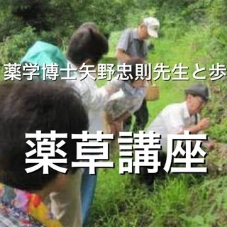 薬草料理マイスター講座in柳川＆大牟田＆筑後＆佐賀方面の画像