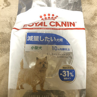 新品･未開封 ロイヤルカナン 減量したい犬用 8kg