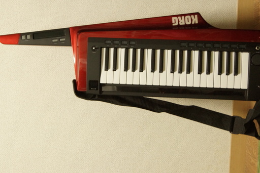 電子楽器 KORG -RK100S-RD