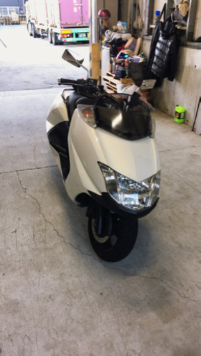 マグザム　激安