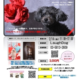 【うちの子（写真＆動画）撮影会】ペット用品LaughDog×Photojoy!関東 - 豊島区