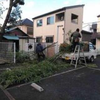 庭師はじめませんか？まずは掃除体験からスタート！未経験OK☆の画像